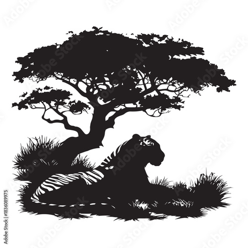 silhouette of a tiger in the beach