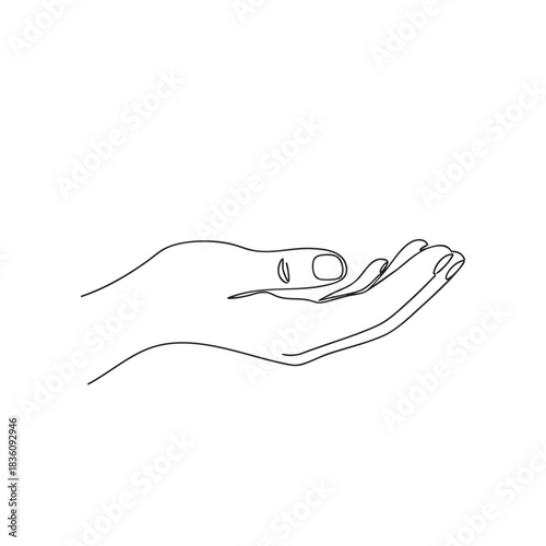 Open palm extended upwards Keywords: hand, open, palm, gesture, receiving, giving, offering