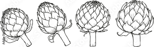 Artichoke Line Art Vector Set for Design. Artichoke Set in Trendy Minimalist Line Art Sketch Style. Abstract Botanical Hand Drawn Doodle Template Collection