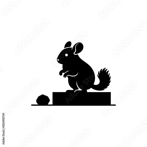 Chinchilla silhouette standing on a minimal step