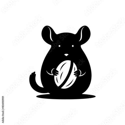 Chinchilla silhouette eating a minimal nut close up