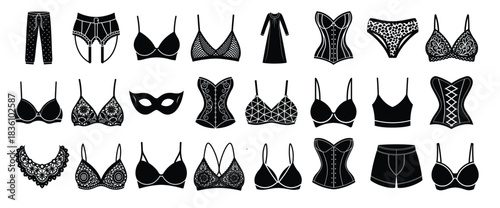 elegant collection of women s underwear silhouettes on white