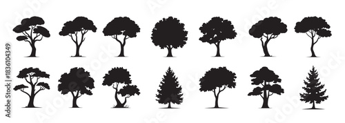 various tree silhouettes for forest and nature themed designs 