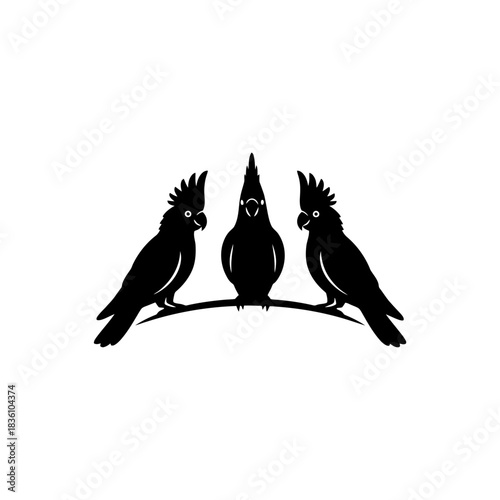 Two cockatoos silhouette playing with minimal round object