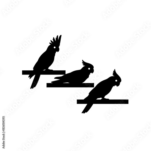 Two cockatoo birds silhouette on a tightrope simple design