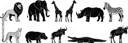 Stylized African animals in grouped layout, vector illustration for wildlife education, safari theme, and editorial nature storytelling content
