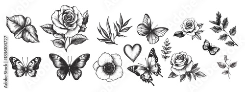 Vintage Botanical Illustration of Butterflies and Roses