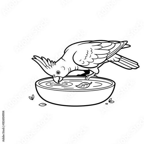 Line art of cockatoo pecking from a bowl