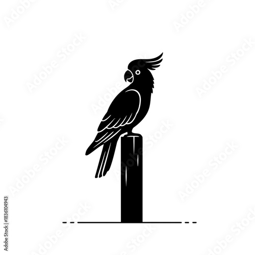 Cockatoo silhouette flying above minimal water ripples