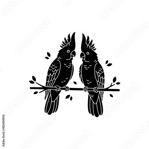 Cockatoo silhouette drinking from minimal water bowl