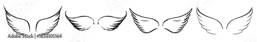 angel wings vector hand drawn illustration