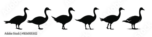  goose silhouette black clipart set goose walking silhouette