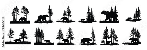 Black bear and cub silhouettes with pine trees baby bear