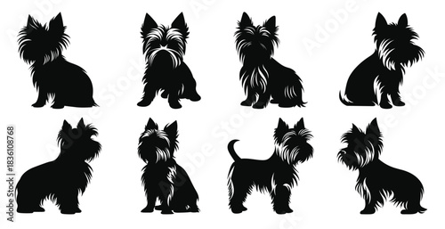 yorkshire terrier dog silhouettes vector set silhouette