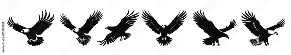 Obraz premium flying bald eagle black silhouette set bald eagle