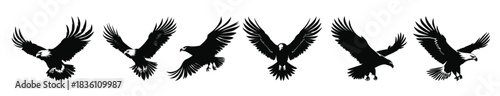 flying bald eagle black silhouette set bald eagle