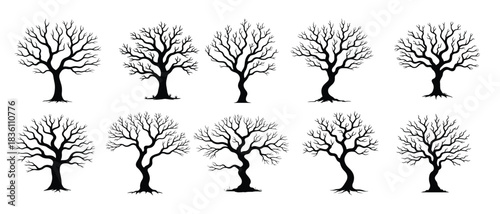 Collection of bare winter trees silhouettes branch