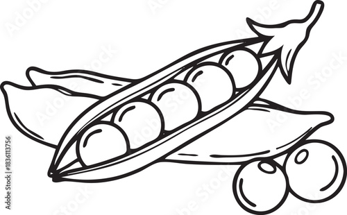 Silhouette of a Peas in Natural Pose on White Background