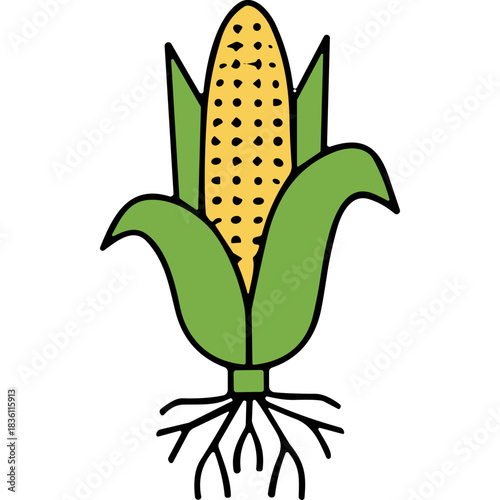 A Stylized Yellow Corn Cob with Green Leaves on a Black Background Simple Illustration