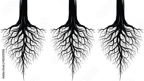 Tree Root System Black Silhouette; Set of Detailed Underground Networks for Stability, Growth, and Natural Ecology; Vector Graphic of Strength, Foundation, and Nature Concept Illustration.