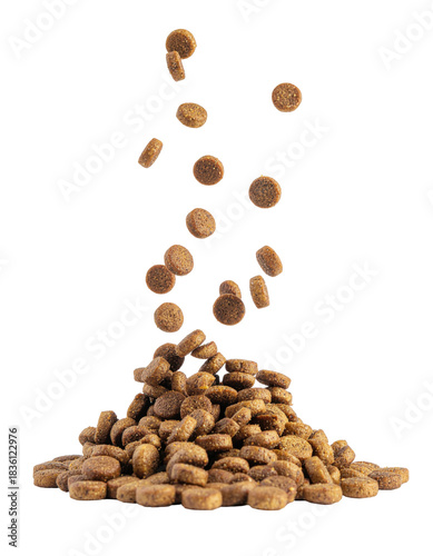 Falling Pieces of Dog Kibble Forming a Pile Against a Transparent Background for Pet Nutrition
