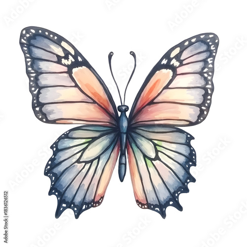 Hand drawn watercolor butterfly