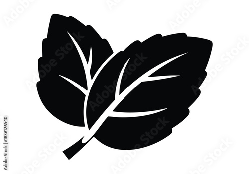 Elegant black and white basil leaf design element for food blogs, culinary websites, and organic product packaging projects, adding a fresh, natural touch