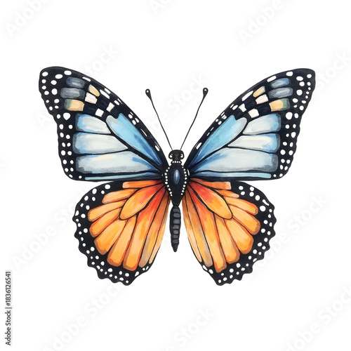 Hand drawn watercolor butterfly