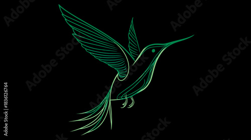 Elegant Green Hummingbird Line Art with Glowing Neon Effect, Digital Illustration on a Dark Black Background