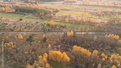 Wallpaper Mural Empty countryside road through autumn woods Torontodigital.ca