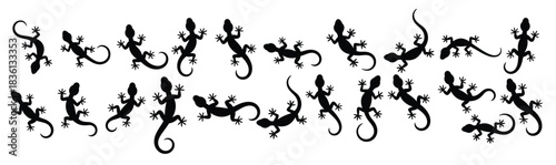 black gecko silhouettes scattered across a white background