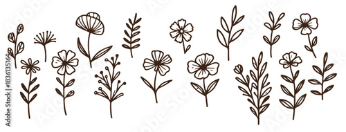 vintage flower illustrations 