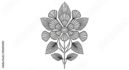 Detailed Floral Illustration, Botanical Flower Design, Artistic Plant Sketch, Monochrome Line Art, Studio Environment, Top View, Vintage Concept