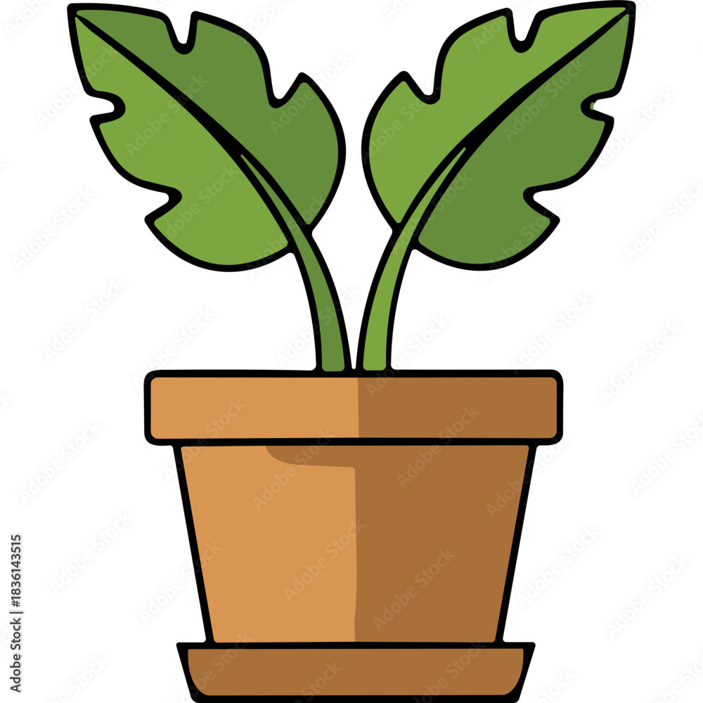 Obraz premium Green Leaf Plant in Terracotta Pot with Shadow Effect on Black Background
