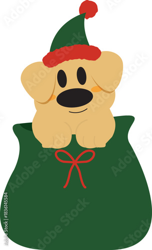 Puppy in Santa's Gift Bag