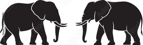 Silhouette of an elephant, black and white vector, isolated wild animal, minimal wildlife and nature illustration, majestic and gentle giant concept
