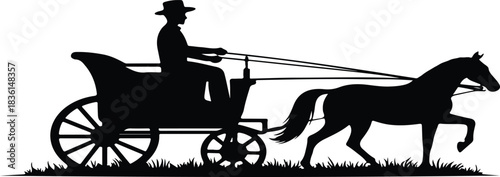 Black silhouette of horse drawn carriage with driver on grass