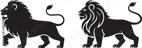 Silhouette of a lion, black and white vector, isolated wild animal, minimal wildlife and nature illustration, powerful predator concept