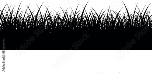 Natural fresh green grass border silhouette on white background