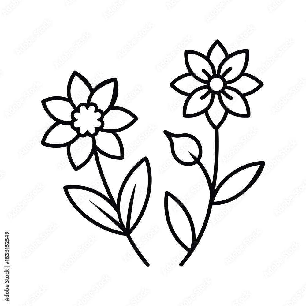 Obraz premium Botanical Flower Line Art Vector Illustration