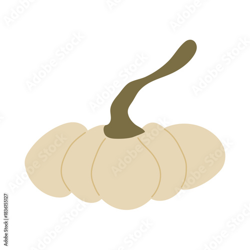 Hand drawn pumpkin doodle. Thanksgiving and Halloween decoration. Vector illustration, flat design