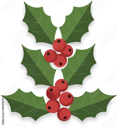 A stylized illustration of three pairs of green holly leaves with clusters of bright red berries, commonly associated with winter holidays and Christmas decorations.