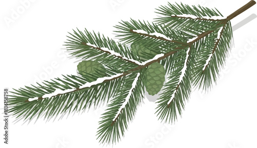 A close-up view of a green pine branch covered with a light dusting of snow and two small pine cones.