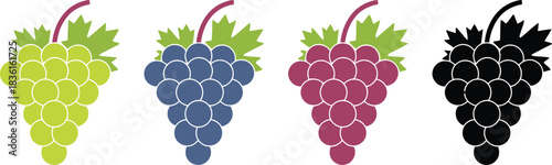 grape, grapes, fruit, bunch, green, blue, purple, black, silhouette, icon, illustration, food, healthy, fresh, natural, organic, vineyard, wine, harvest, sweet, juicy, variety, collection