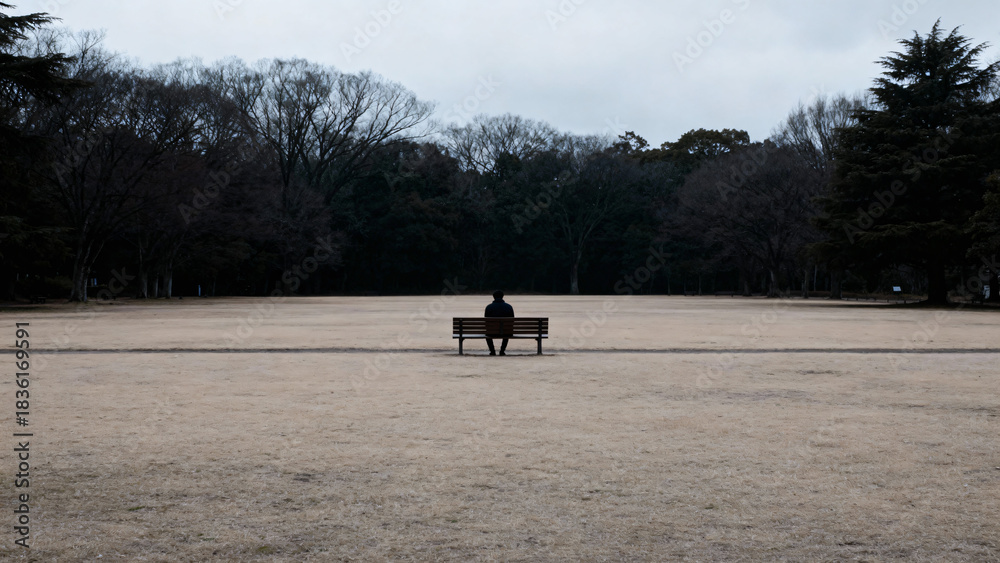 Naklejka premium Solitary Figure Sitting on Bench in Expansive Park Landscape during Overcast Weather