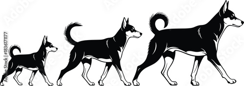 Businesswoman silhouette with brief case standing next to a businessman in suit saluting, representing corporate professionalism, respect, and successful partnership in the work environment.