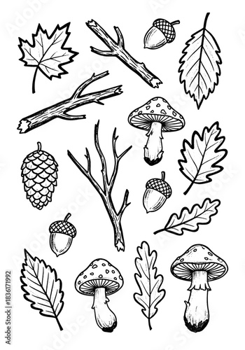 Monochrome sketch style nature collection featuring scattered autumnal leaves, woodland mushrooms, dried twigs, pine cones, and acorns