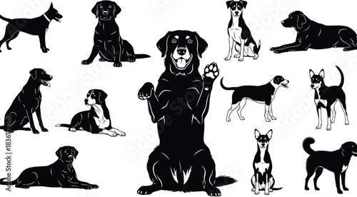 Large silhouette collection of multiple dog breeds in various poses, including sitting, standing, and lying down, illustrating pets, domestic animals, companionship, and canine friendship.