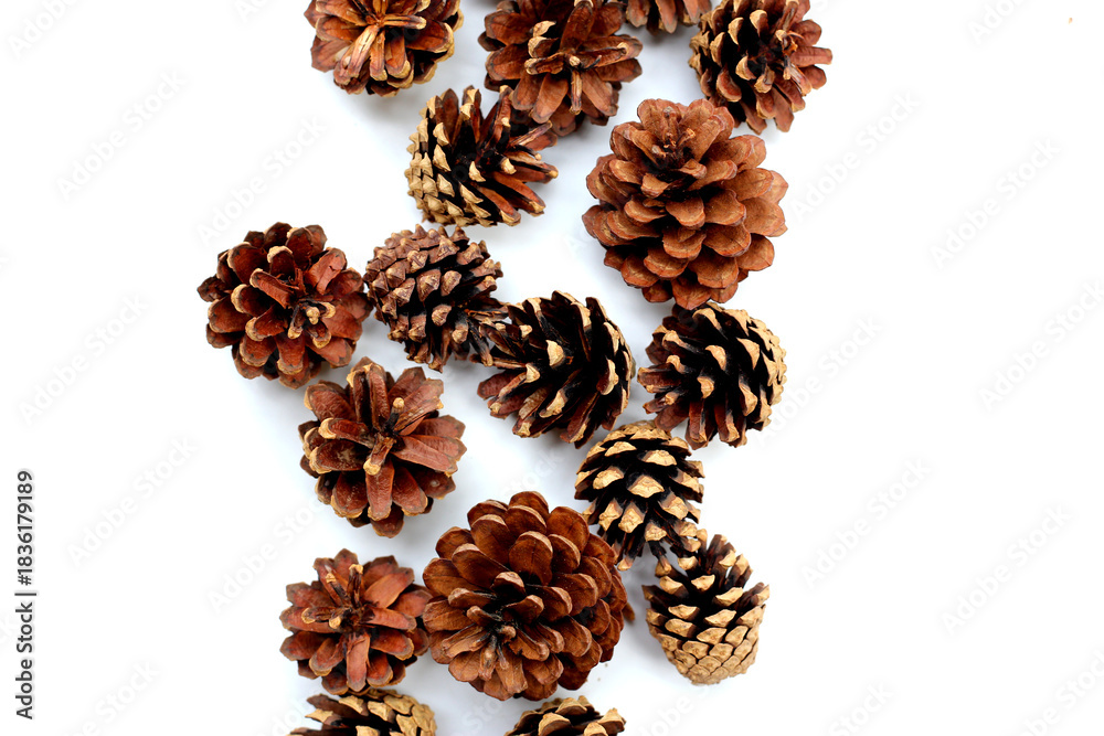 Obraz premium Pine cones on white background
