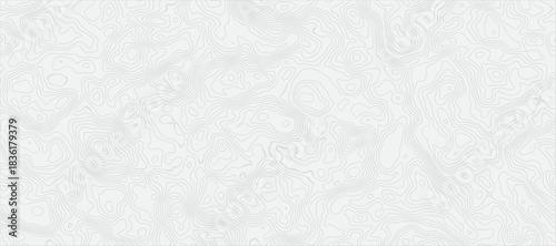 Topographic Map Pattern with Fine, Faint Gray Contour Lines on a Pristine White Background With Topographic Lines in Gray Monochrome for Design
